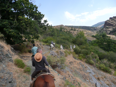 Mountain trail